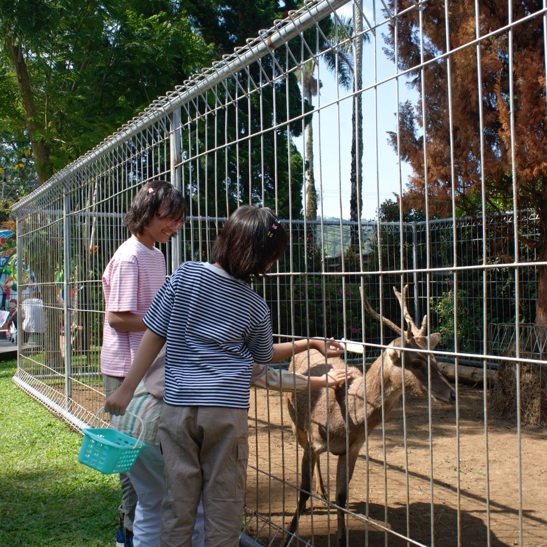 Feeding The Deer